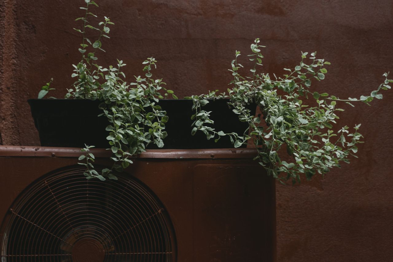 Potted green plants elegantly spill over an outdoor air conditioning unit.